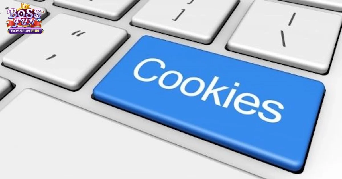 Mục Đ&iacute;ch Sử Dụng Cookie Tại Bossfun Để Cải Thiện Trải Nghiệm Người D&ugrave;ng