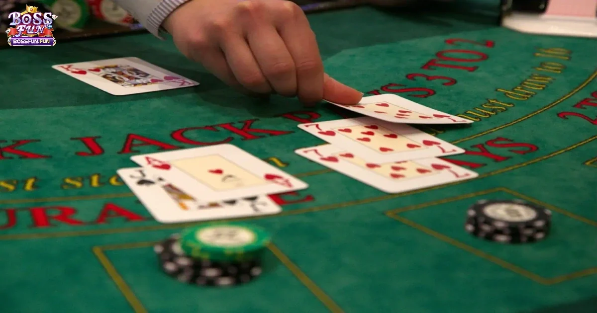 Những Lựa Chọn Trong V&aacute;n B&agrave;i