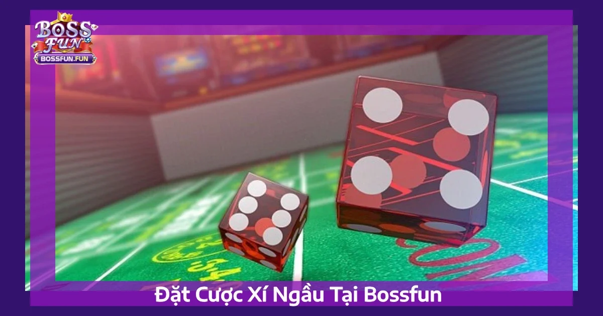 Mẹo Đặt Cược Xí Ngầu Chính Xác