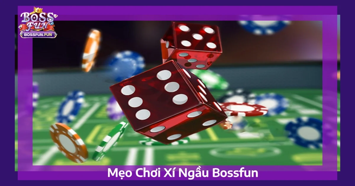 meo choi xi ngau bossfun 4